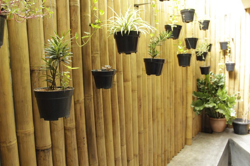 Teduh Hostel Kota Tua Jakarta Extérieur photo